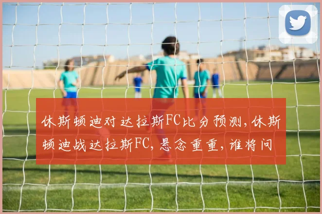 休斯顿迪对达拉斯FC比分预测,休斯顿迪战达拉斯FC,悬念重重,谁将问鼎