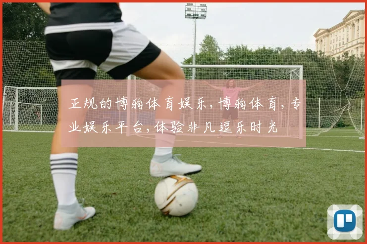 正规的博狗体育娱乐,博狗体育,专业娱乐平台,体验非凡逗乐时光