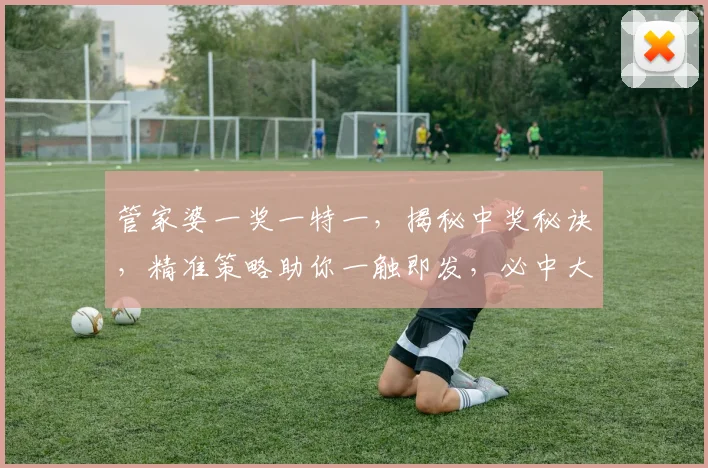 管家婆一奖一特一，揭秘中奖秘诀，精准策略助你一触即发，必中大奖